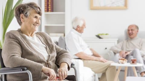 Elders spending time together Elders spending time together